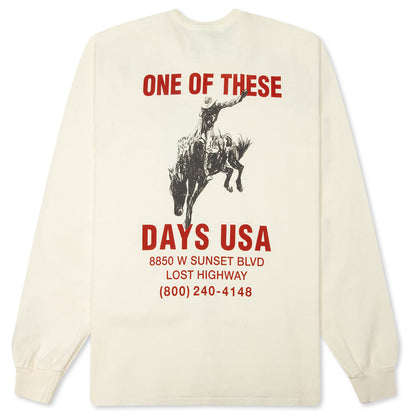 Break On Through Long Sleeve T-Shirt - Bone