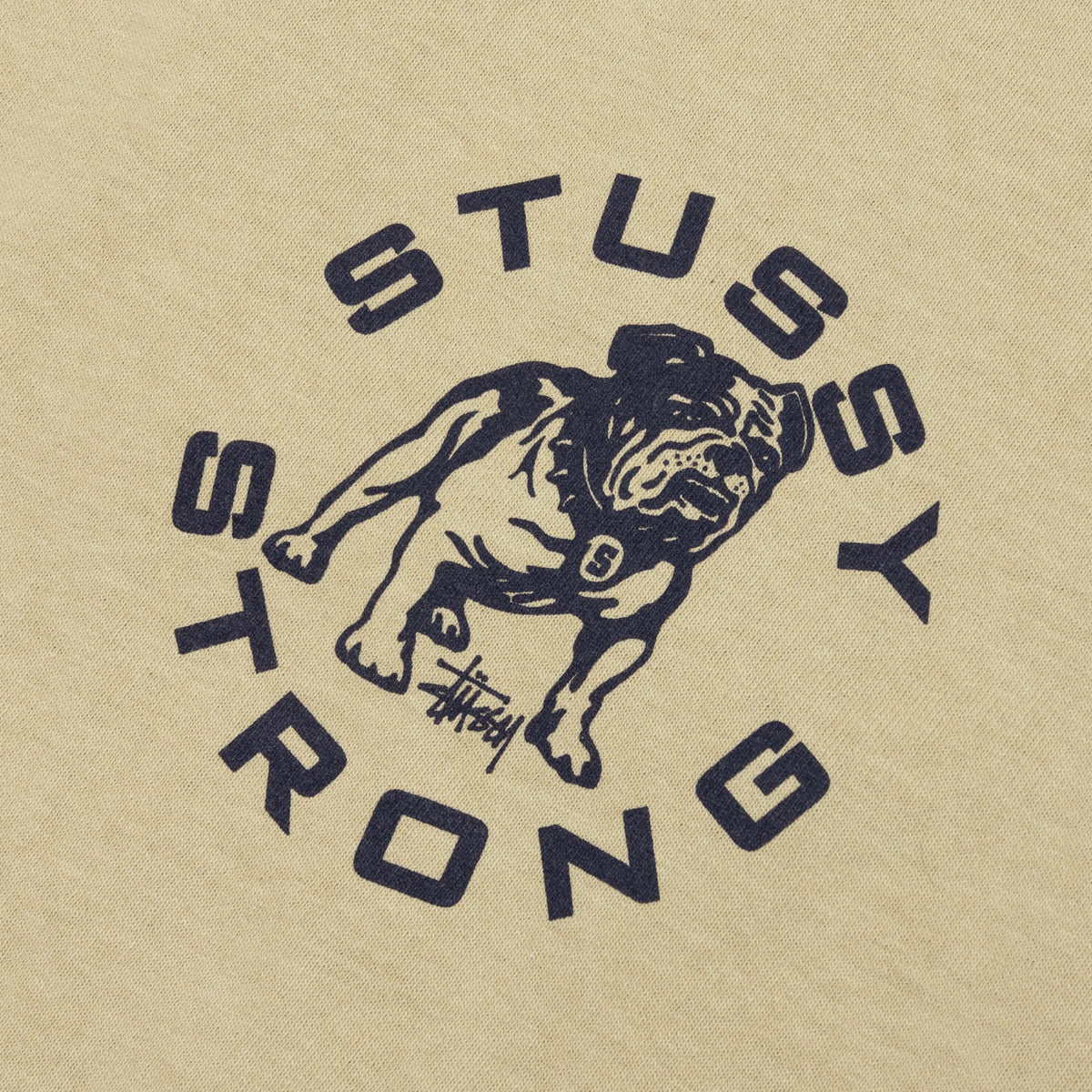 Strong Mac Pigmented Dyed Tee - Elm