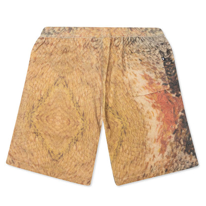Wings Print Knit Short - Multi