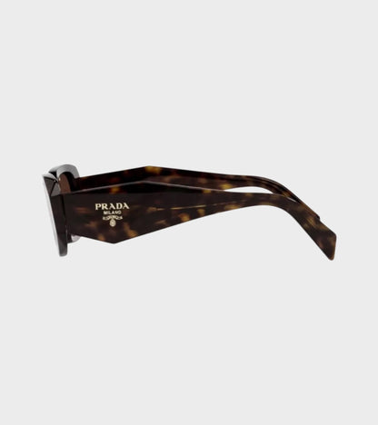 0PR 17WS Tortoise Brown